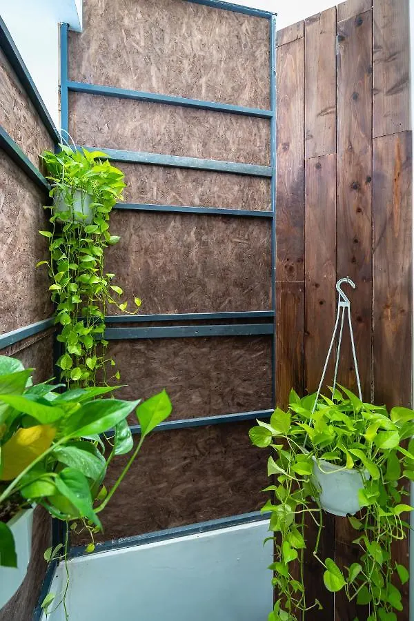 Holo Bui Vien Saigon Serviced Homestay Ho Chi Minh City 0*,
